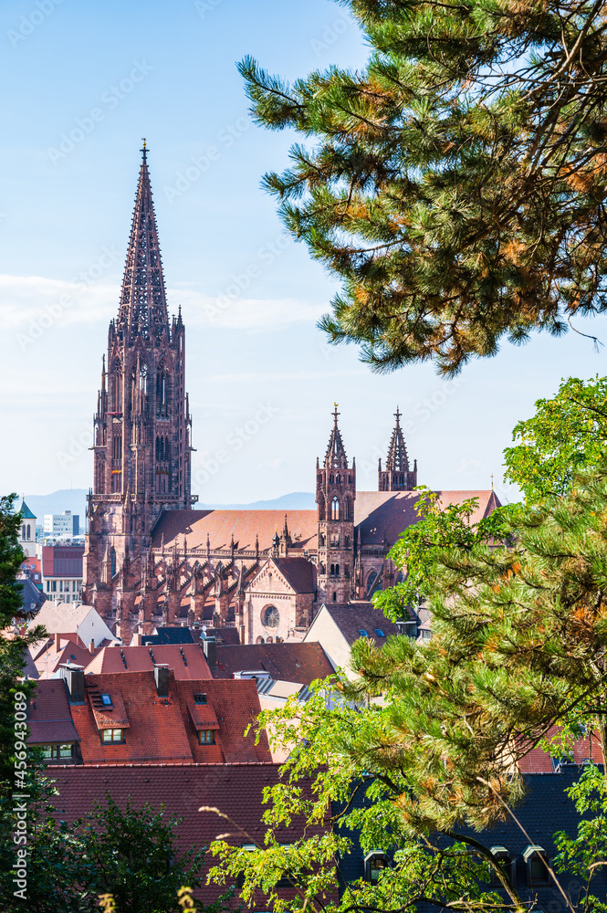 Freiburger Münster in Freiburg im Breisgau, Schwarzwald
