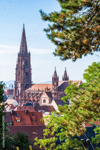 Obraz na płótnie Freiburger Münster in Freiburg im Breisgau, Schwarzwald w salonie