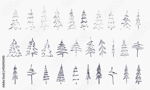 set of hand drawn winter trees (vector sketched spruce, fir and xmas trees)