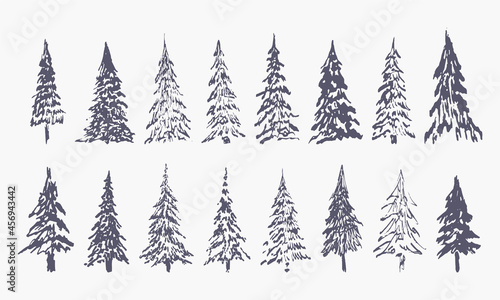 set of hand drawn winter trees (vector sketched spruce, fir and xmas trees)