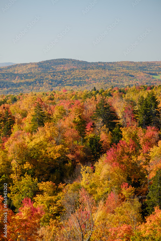 Colorful Autumn fall trees and scrub bushes and the Vermont mountains Colorful Autumn fall trees and scrub bushes and the Vermont mountains