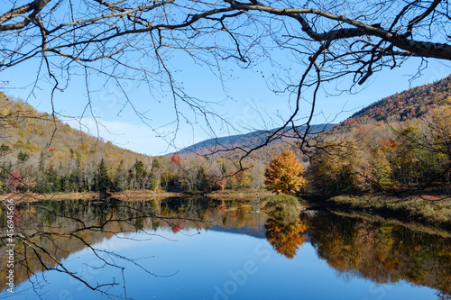 Autumn trees on a Vermont Pond near the end of the fall season on a gorgeous fall day