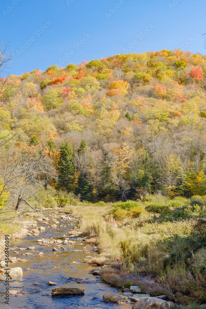Clear cold brook runs past autumn tree covered mountain in Vermont USA