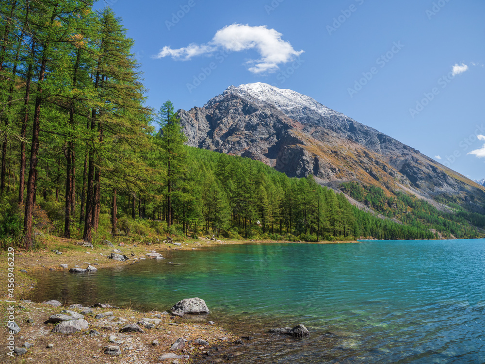 Colorful autumn landscape with clear mountain lake in forest among fir trees in sunshine. Bright scenery with beautiful turquoise lake against the background of snow-capped mountains.