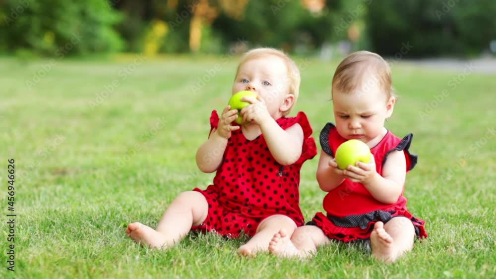 two baby girls with green apples in their hands are sitting outside on the grass lawn and eating fruit, space for text two baby girls with green apples in their hands are sitting outside on the grass lawn and eating fruit, space for text