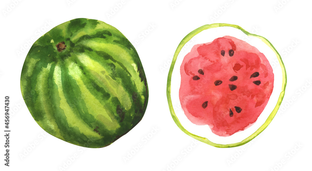 Watercolor hand painted exotic fruits illustration set isolated on white background - watermelon slices Watercolor hand painted exotic fruits illustration set isolated on white background - watermelon slices