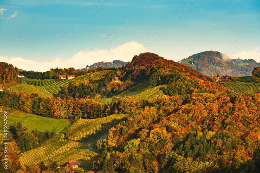 South styria vineyards, Tuscany of Austria. Sunrise in autumn. Colorful trees and vieyard at top of hill with poplar trees