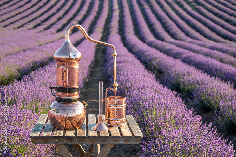 Distillation of lavender essential oil and hydrolate. Copper alambik for the flowering field. - obrazy, fototapety, plakaty 
