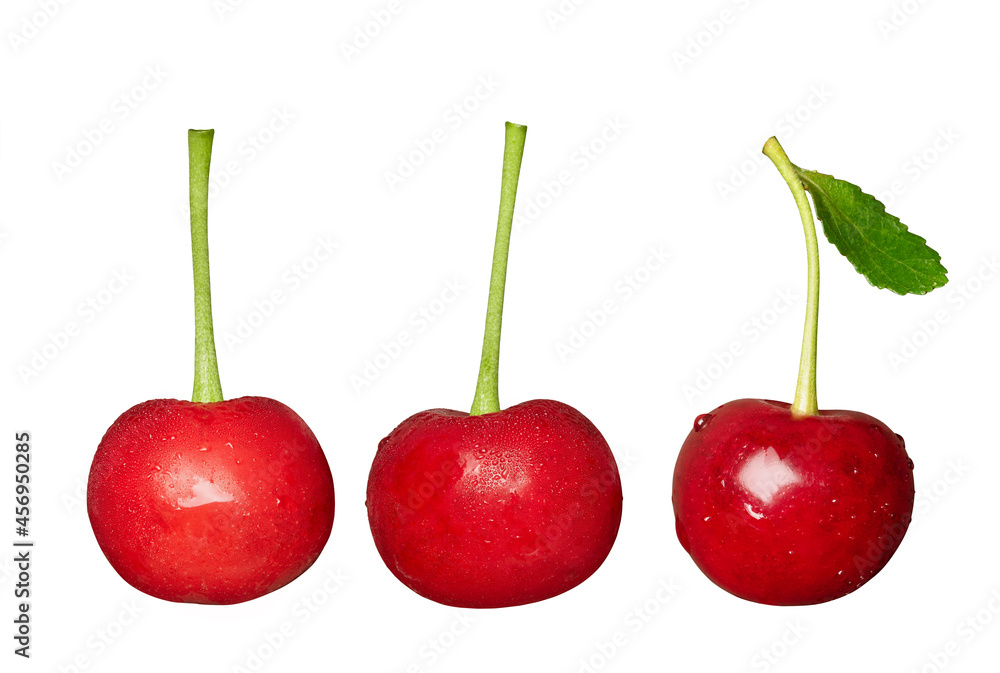 fresh vinous cherry in water drops isolated on white fresh vinous cherry in water drops isolated on white