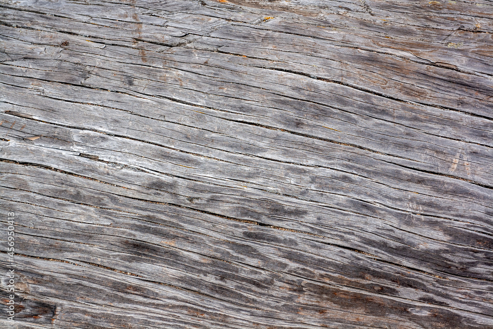 Background texture of trunk of old dry tree with cracks. Horizontal image. Background texture of trunk of old dry tree with cracks. Horizontal image.