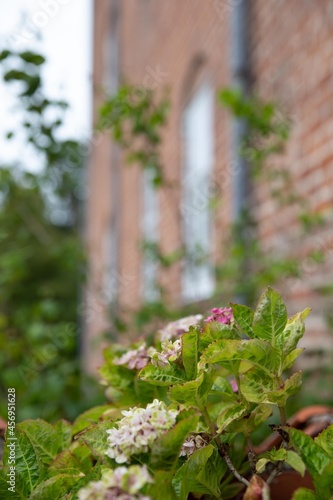 The beautiful old Sostrup Castle in Denmark