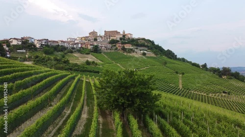 La Morra and vineyards aerial view in Barolo Langhe, Piedmont
