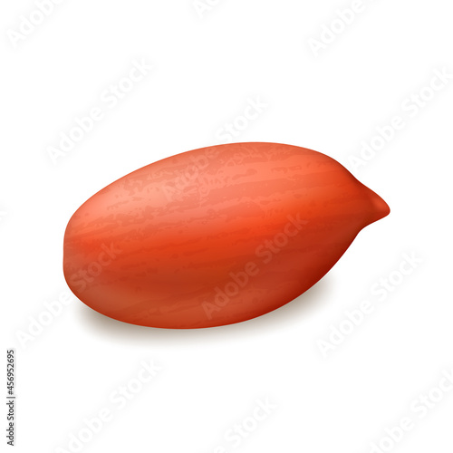 Peanut Nut Kernel Vitamin Natural Snack Vector. Bio Peanut Diet Raw Vegetarian Legume Nutrition. Healthy Agriculture Subtropic Seasonal Groundnut Harvest Food Template Realistic 3d Illustration