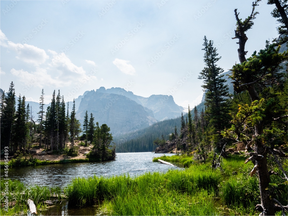 A beautiful lake scene surrounded by grass, pine trees, and mountains in Colorado.