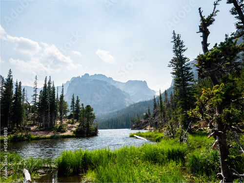 A beautiful lake scene surrounded by grass  pine trees  and mountains in Colorado.