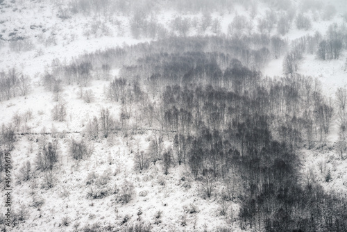 Winter landscape with a bare forest in the middle of a heavy snowfall