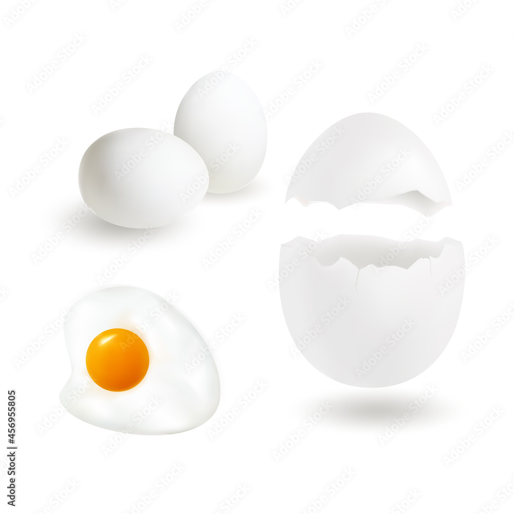 Egg Set in Realistic Style Isolated on White Background, Including Such Design Element as Whole, Fried and Broken Eg