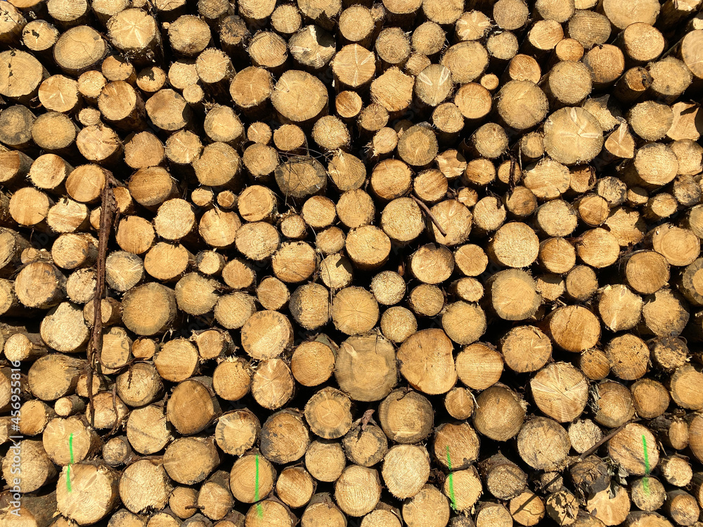 Holzstämme auf Stapel als Textur oder Hintergrund Holzstämme auf Stapel als Textur oder Hintergrund