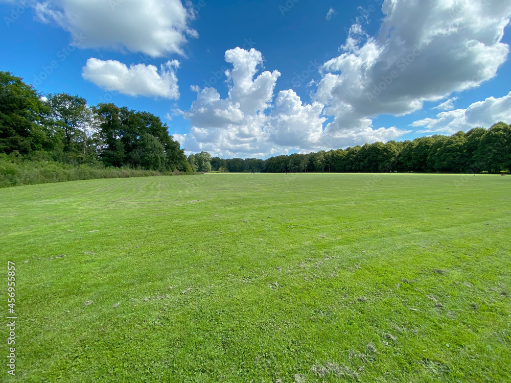 Große weite Wiese im Sommer als Hintergrund mit viel Textfreiraum oder Copy Space Große weite Wiese im Sommer als Hintergrund mit viel Textfreiraum oder Copy Space