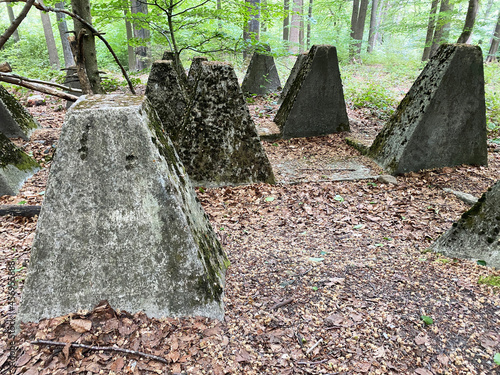 Panzersperren aus Beton von Westwall und Siegfried-Linie im Aachener Wald photo