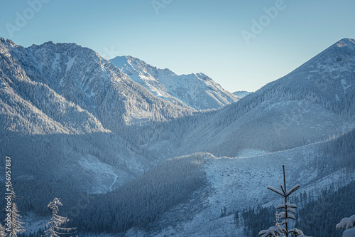 Majestic Western Tatra view in the morning. Scenics on the way to Grześ Peak. High rocky ridge in winter. Selective focus on the forest, blurred background. © juste.dcv