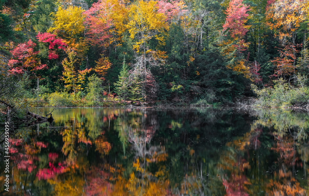 Colorful autumn trees and its reflection in water along Dead river in Michigan Upper peninsula Colorful autumn trees and its reflection in water along Dead river in Michigan Upper peninsula