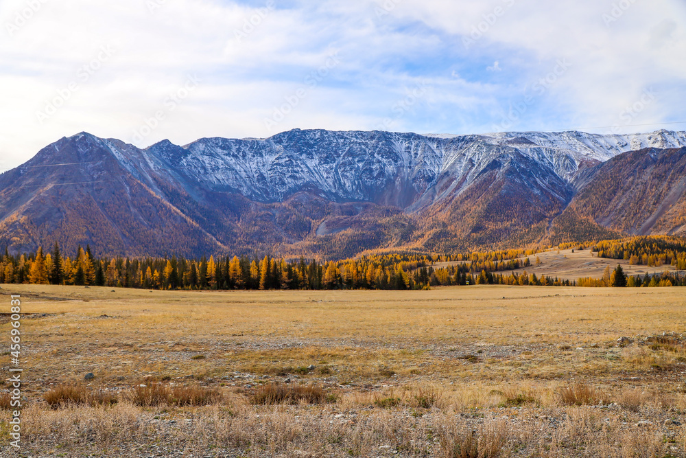 snow-capped mountain peaks, the blue sky of the autumn Altai, a picturesque region, nature, rivers and roads in autumn. Yellow foliage, clouds. Travel, tourism in Russia, auto tourism, tours.