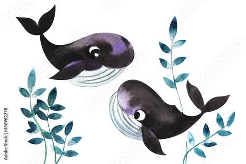 Photography Decorative elements Two small cartoon dark blue whales are playing in the thickets of sea plants and algae