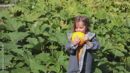 Girl on the field with pumpkins. The child pretends to bite the pumpkin. Autumn photos of children. Horizontal video. 