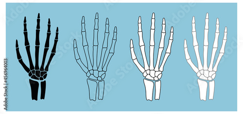 Skeleton Hand Anatomy Clipart Set