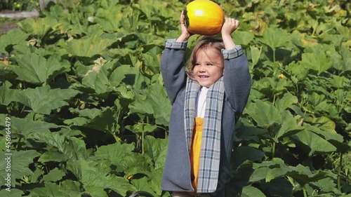 A child plays with a small yellow pumpkin on the farm. In the fall, take your children for a walk in nature. Horizontal video. 