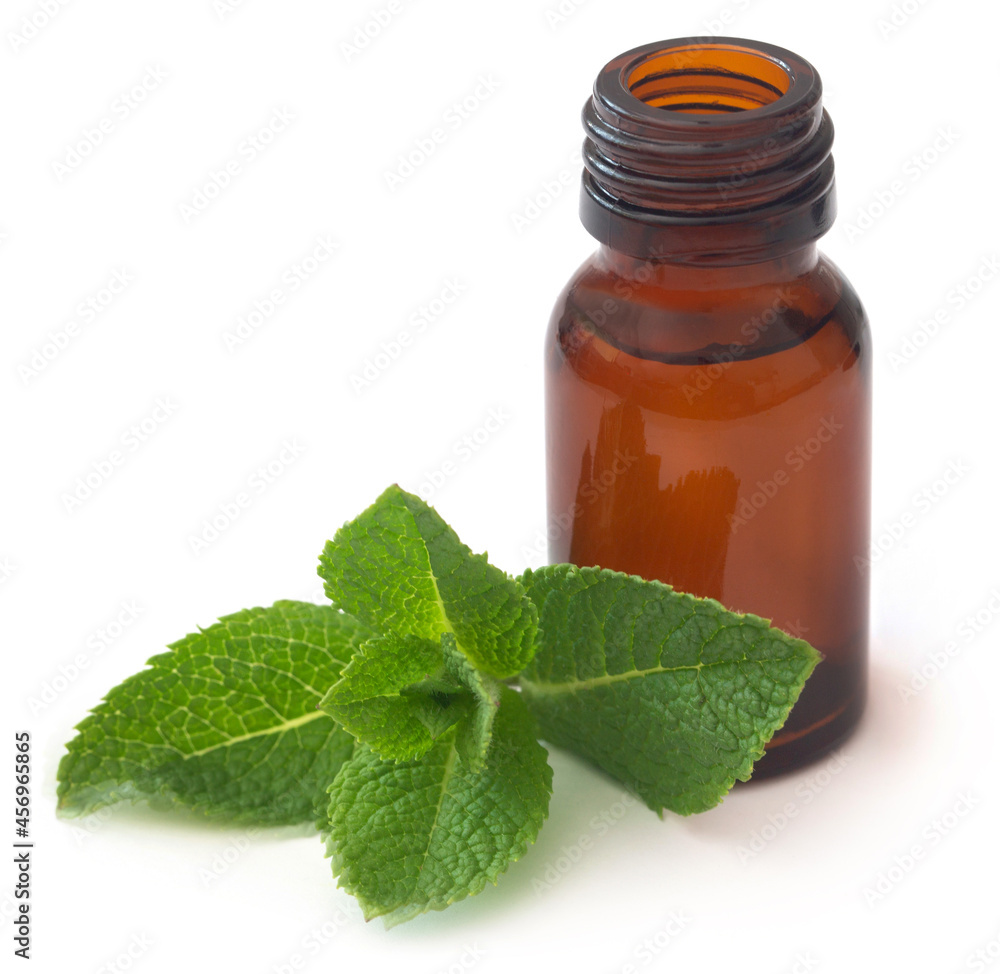 Mint leaves with essential oil in a bottle Mint leaves with essential oil in a bottle