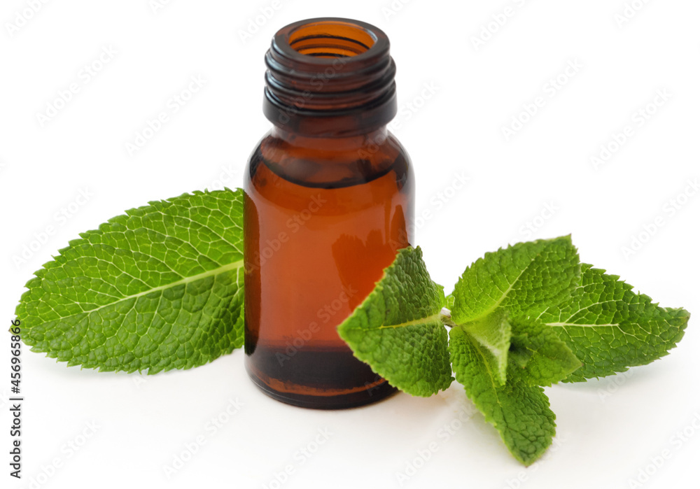 Mint leaves with essential oil in a bottle Mint leaves with essential oil in a bottle