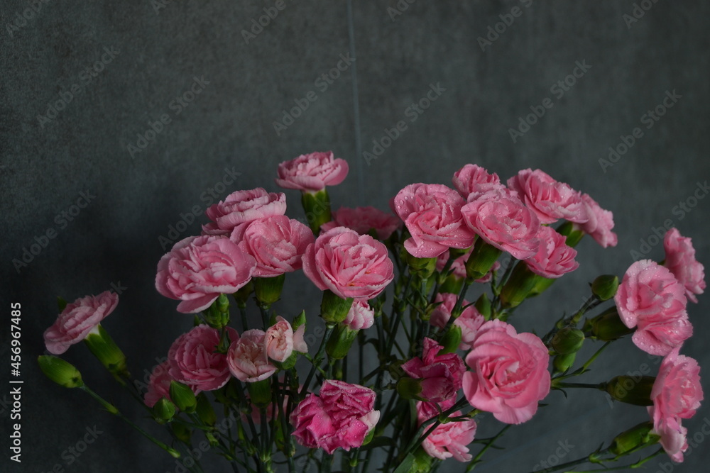 Pink floral carnation wallpaper design