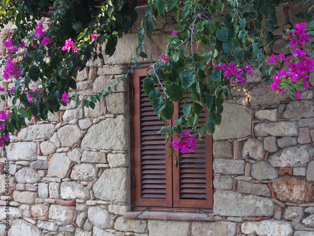 Naklejka premium OLYMPUS DIGITAL CAMERA