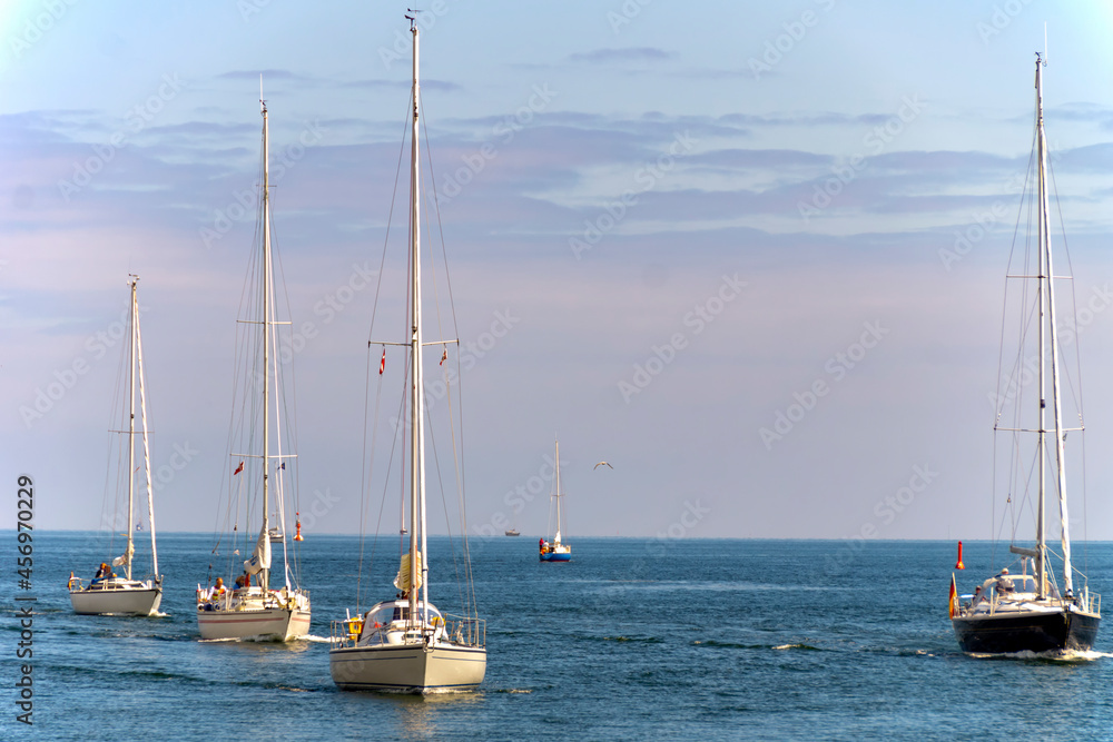 sailboats in the bay