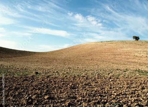 red soil cultivation field