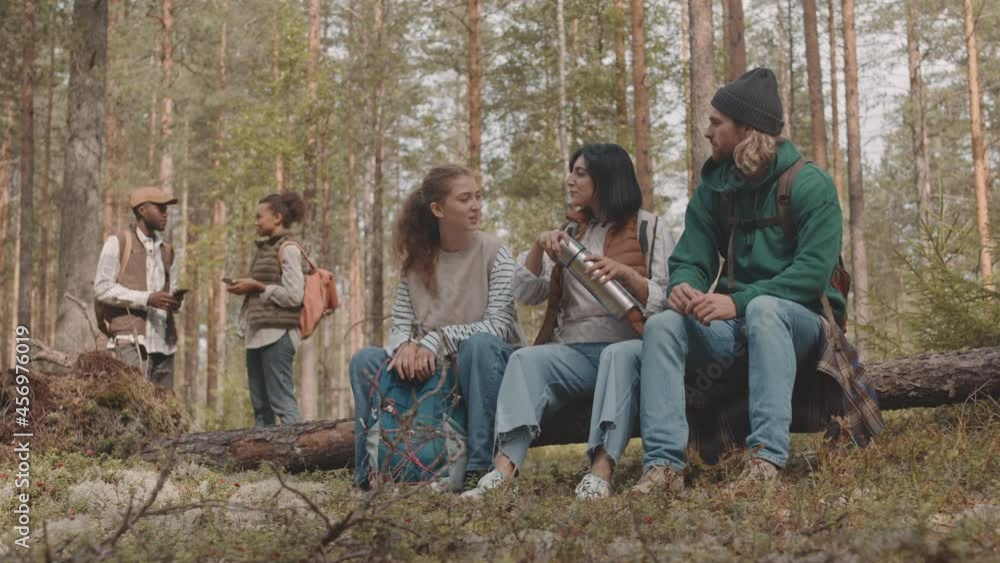 Slowmo shot of group of young multi-ethnic people resting during summer camping trip in forest, drinking hot tea from thermos and having conversation Slowmo shot of group of young multi-ethnic people resting during summer camping trip in forest, drinking hot tea from thermos and having conversation