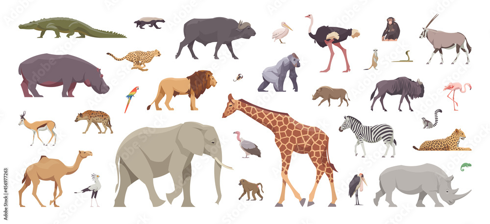 Fototapeta premium Flat set of african animals. Isolated animals on white background. Vector illustration