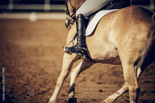 Equestrian sport. The leg of the rider in the stirrup, riding on a horse.