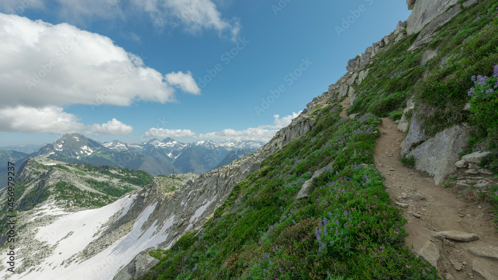 Fototapeta premium landscape in the mountains