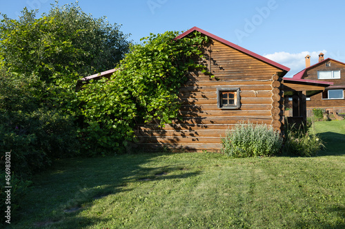 A rustic house made of thick timber with a small window, the bathhouse stands on a mown green lawn, overgrown with grapes