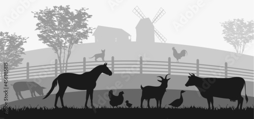 Farm animals silhouettes. Horse, cow, pig, goat, sheep, cat, dog, chicken, goose vector silhouettes