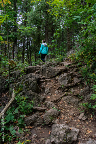 walking in the woods