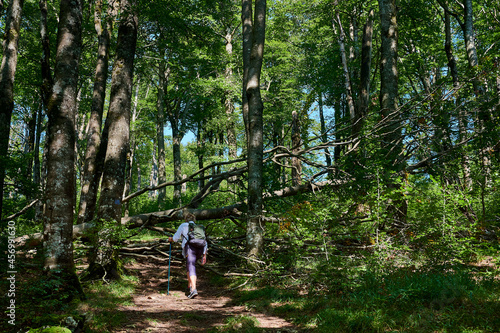 woman walking on the path forest with backpack and walking stick