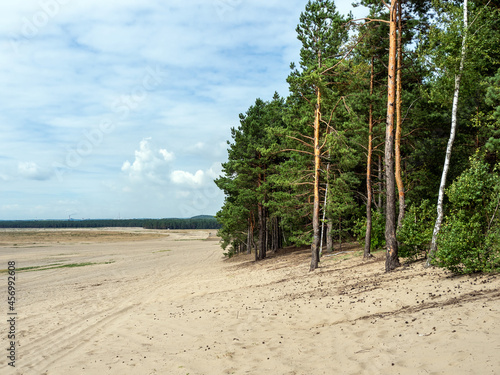 Błedow Desert, Poland photo