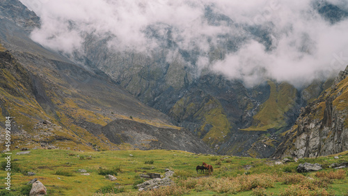 Misty Mountain