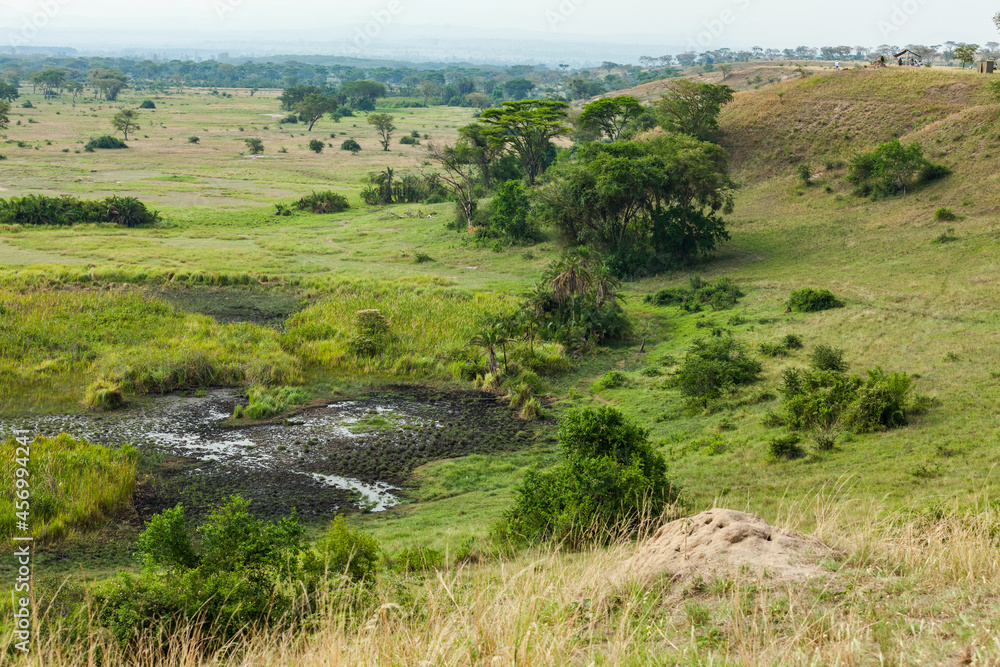 Dried out swamp in african savanna. Queen Elizabeth National Park, Uganda
