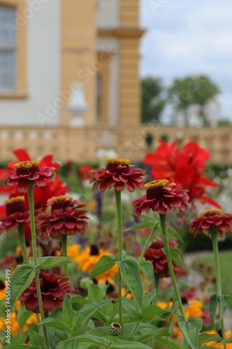 Flowers in Front of a Castle