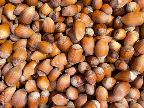 Haselnüsse aus dem Garten 